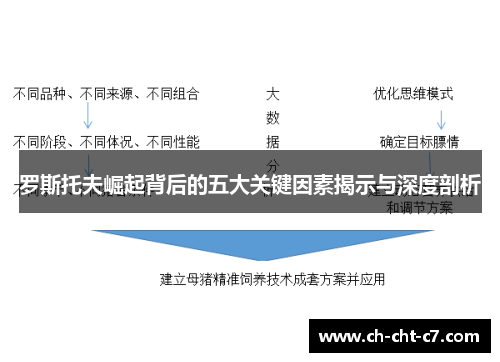 罗斯托夫崛起背后的五大关键因素揭示与深度剖析
