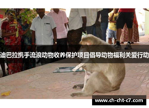 迪巴拉携手流浪动物收养保护项目倡导动物福利关爱行动