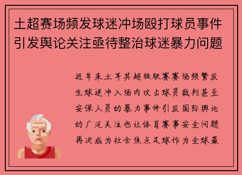 土超赛场频发球迷冲场殴打球员事件引发舆论关注亟待整治球迷暴力问题 土超赛场频发球迷冲场殴打球员事件引发舆论关注亟待整治球迷暴力问题